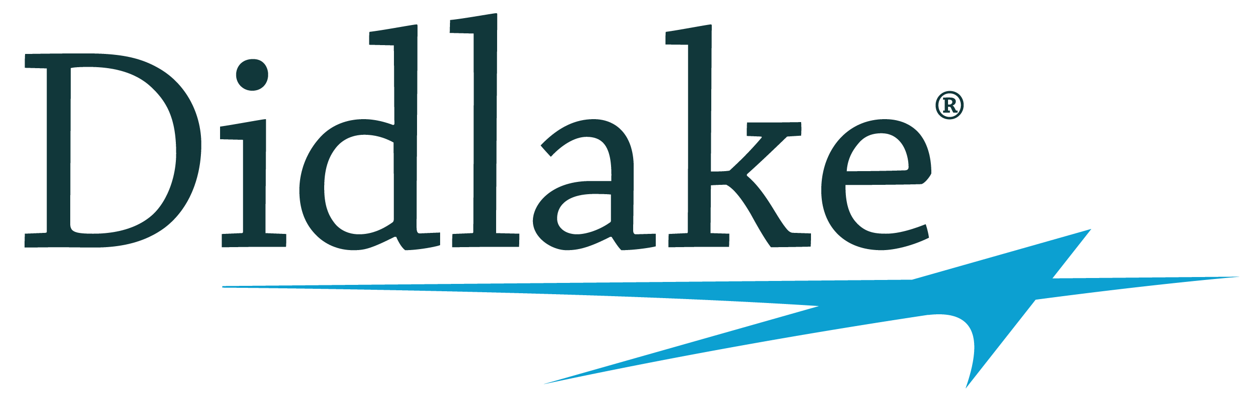 Didlake logo